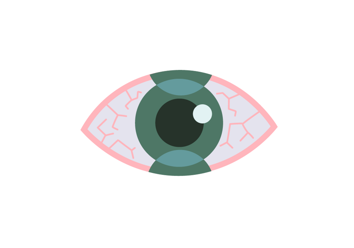 Eye exam for adults Eye exam for seniors Eye exam for diabetes Eye exam for glaucoma Eye exam for cataracts Eye exam for macular degeneration Eye exam for retinal disease Eye exam for vision problems Eye exam for eye pain Eye exam for blurry vision Eye exam for double vision Eye exam for dry eyes Eye exam for red eyes Eye exam for eye twitching Eye exam for eye irritation Eye exam for eye pressure Eye exam for eye discomfort Eye exam for eye allergies Eye exam for watery eyes Eye exam for sore eyes Eye exam for eye fatigue Eye exam for eye strain